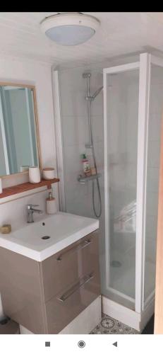La salle de bains est pourvue d'une douche et d'un lavabo blanc. dans l'établissement Studio indépendant au calme, à Angers