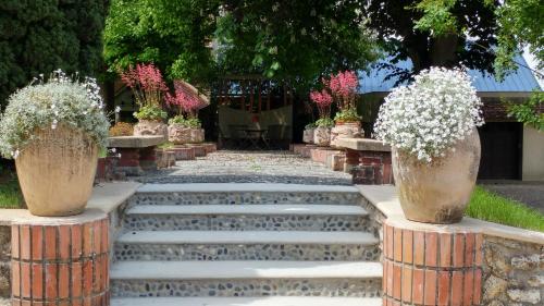 a set of stairs with flowers in vases at La Closerie in Droue-sur-Drouette