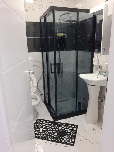 a bathroom with a shower and a sink at Apartman Tamara Struga in Struga