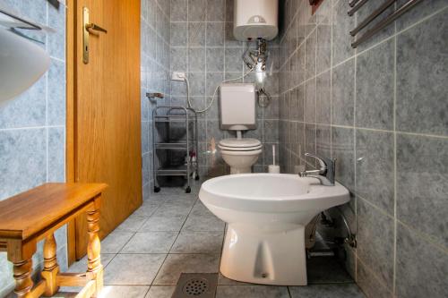 La salle de bains est pourvue de toilettes et d'un lavabo. dans l'établissement Holiday house Lepena, à Vallée de la Soča