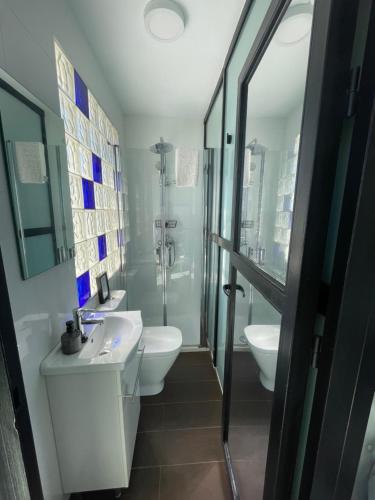 a bathroom with a sink and a toilet and a shower at Coqueto estudio-ático EN PRIMERA LÍNEA DE PLAYA CON PRECIOSAS VISTAS AL MAR in Almería