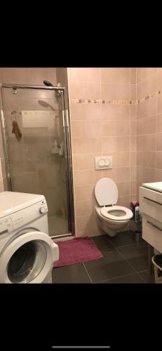 une salle de bain avec une douche, des toilettes et un lavabo dans l'établissement Quiet flat near Monaco, à Roquebrune-Cap-Martin