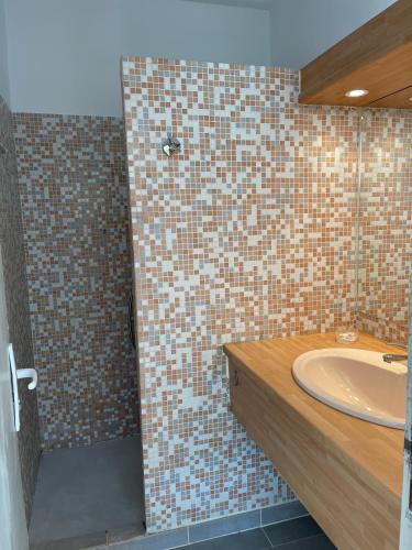 a bathroom with a sink and a shower at BASTIDE DU DEFENDS in Pertuis