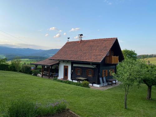 a house with a brown roof on a green field at Troadkastn Familie Fritz in Passail