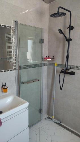 W łazience znajduje się prysznic ze szklanymi drzwiami. w obiekcie Dom w dolinie w mieście Zagórz