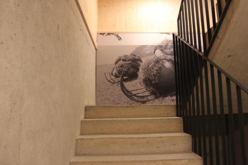 a stairway with a picture of cows on the beach at Bergreich Appartement 5 in Schoppernau