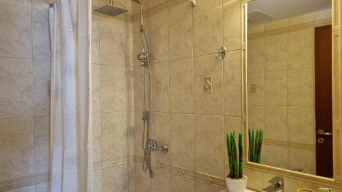 een badkamer met een douche en een plant. bij Cypress Garden House in Ayía Marína
