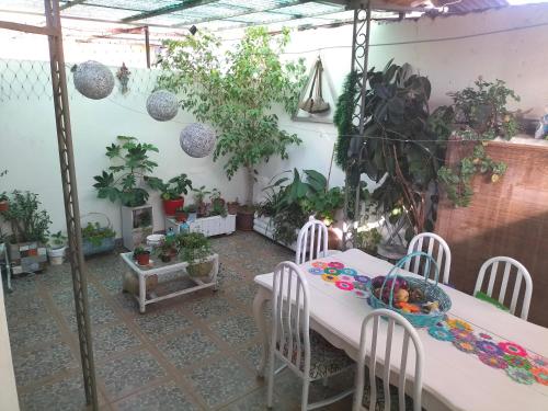 una mesa y sillas en una habitación con macetas en El hogar de Canela, en Talca