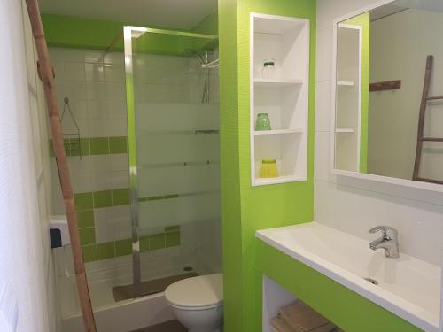 La salle de bains verte est pourvue de toilettes et d'un lavabo. dans l'établissement Les forges de Planechaud, à Saint-Sornin-Leulac