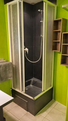 y baño verde con ducha y puerta de cristal. en Gîtes chez Daniel "Cevennes 3", en Mars