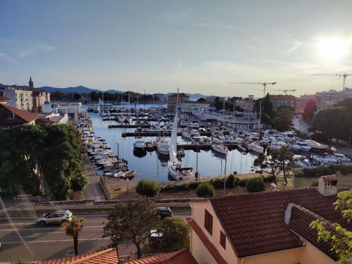 uma marina cheia de barcos na água em Apartment Palma em Zadar
