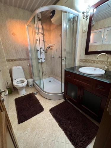 uma casa de banho com um chuveiro, um lavatório e um WC. em House with pool and sea view em Bar