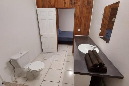 La salle de bains est pourvue d'un lavabo, de toilettes et d'un miroir. dans l'établissement Moorea Maharepa Appartement, à Paraoro