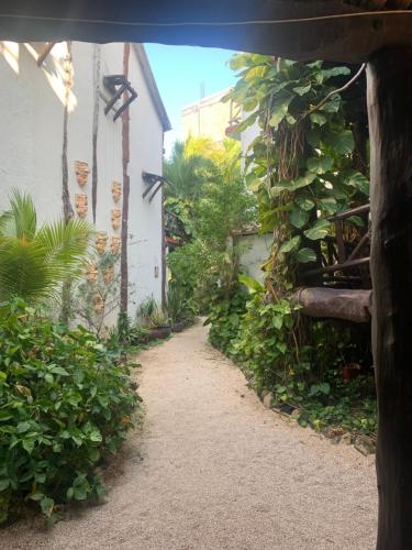 a pathway leading to a building with plants on it at Casa CARIBE Cancun in Cancún