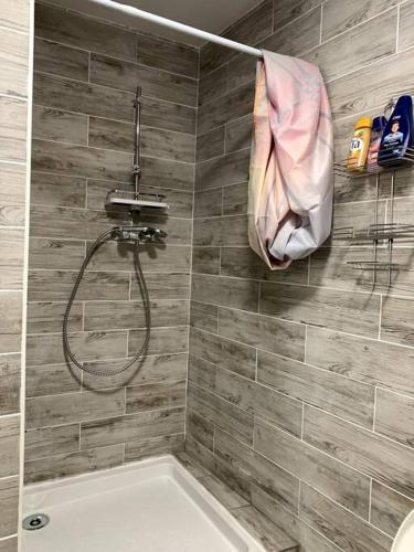 een badkamer met een douche en een bad bij Studio à Couches in Couches