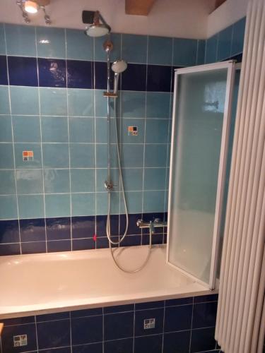 a bathroom with a shower with a shower head at Chalet la terrazza vista lago in Bellano