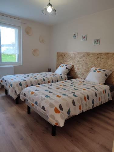 une chambre avec deux lits et une fenêtre dans l'établissement Gîte Les Tongs des Près, au cœur du Parc Normandie Maine, à Livaie