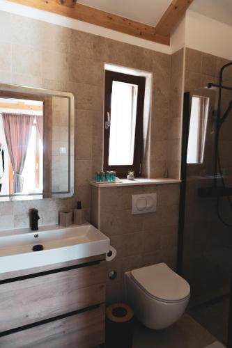 a bathroom with a sink and a toilet and a mirror at Holiday Home Rakova in Gornje Selo