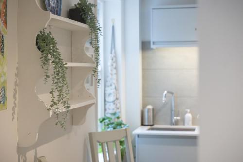 una cocina con fregadero y un estante con plantas en Two Elegant Victorian Apartments 1BR & 2BR in Cheltenham, Cotswolds - Sleeps 10 - FREE Parking en Cheltenham