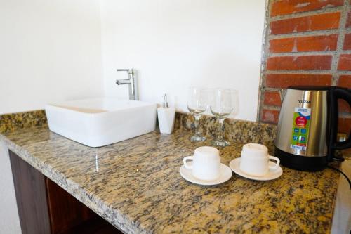 a kitchen counter with a sink and a coffee maker and glasses at Hotel Ribera La Paz in Piedades Norte