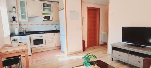 a kitchen with white cabinets and a flat screen tv at Apartamentos El Pigazu in Cangas de Onís