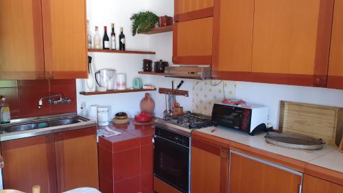 a kitchen with a stove and a microwave at La Casetta in Codevilla - Roburent in Roa Marenca