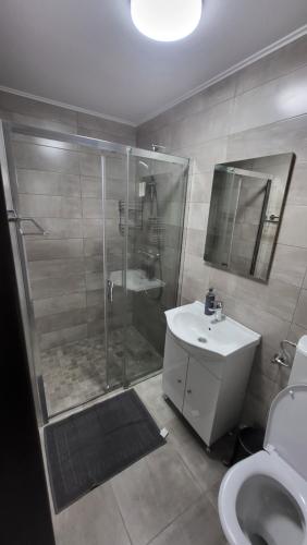 a bathroom with a shower and a sink and a toilet at Pensiunea Noblesse in Căciulata