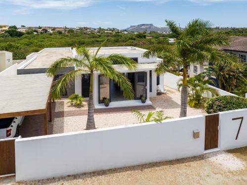 an aerial view of a house with palm trees at Villa Bon Vista Cas Grandi in Willemstad