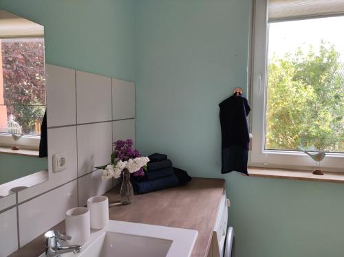 a bathroom with a sink and a mirror and a window at Storchennest mit großem Garten für Urlaubsgäste in Nauen