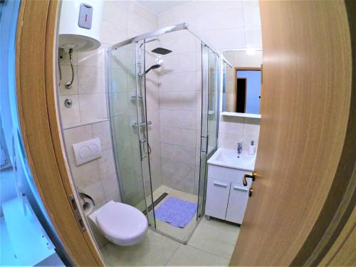 y baño con ducha, aseo y lavamanos. en Apartman Tina, en Ražanac