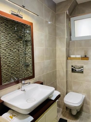 a bathroom with a sink and a toilet at Apartment in Shtip in Štip