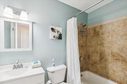 ストーにあるMountainview Condo #2のバスルーム(トイレ、洗面台、シャワー付)