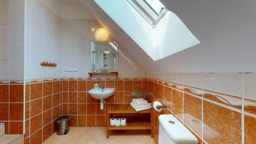 a bathroom with a sink and a toilet and a mirror at Penzion Pod kolem in Šošŭvka