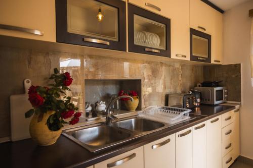 a kitchen with a sink and a microwave at Villa Porta Qeparo in Qeparo