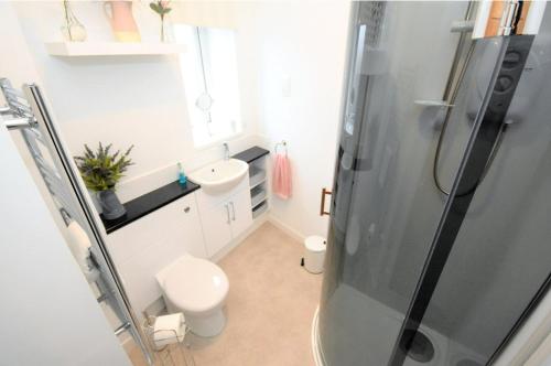 a bathroom with a shower with a toilet and a sink at Snug on the Tweed in Berwick-Upon-Tweed