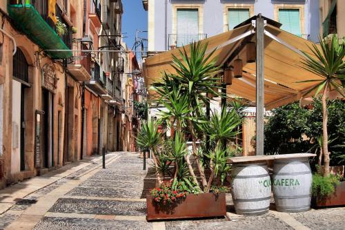 an empty street with plants and an umbrella at Petra apartments -Old City with terrace and barbecue- in Tarragona