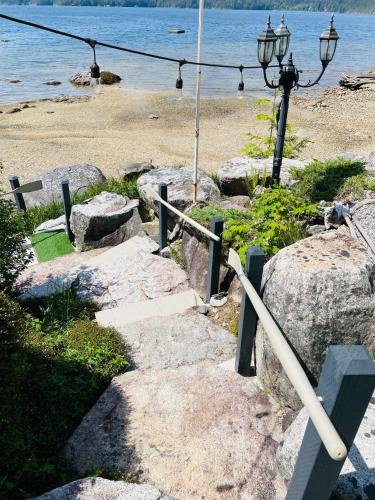 ロッジの近くで見られる自然の景観