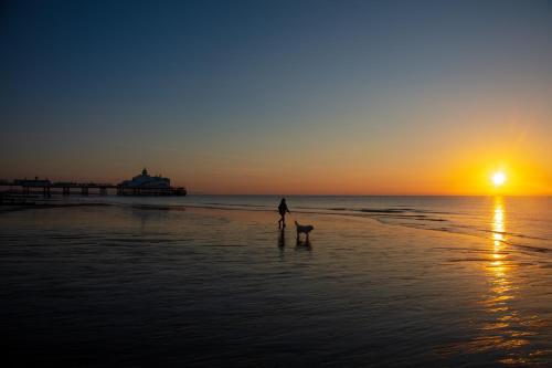 a person walking a dog on the beach at sunset at Welcoming 4 Bed Holiday Home in Eastbourne in Eastbourne
