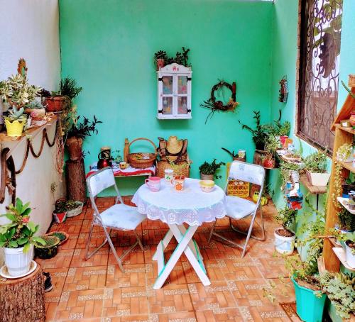 een tafel en stoelen in een kamer met planten bij Casa Brenamiel in Santa María Azompa