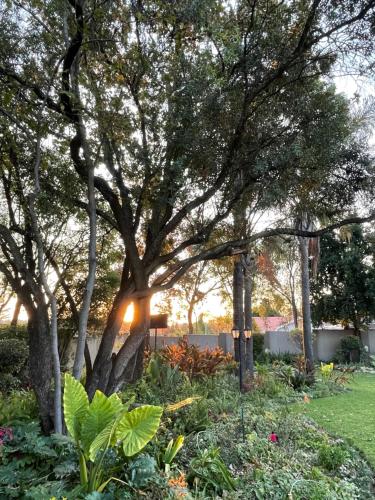 Jardín al aire libre en OneOnArumAvenue
