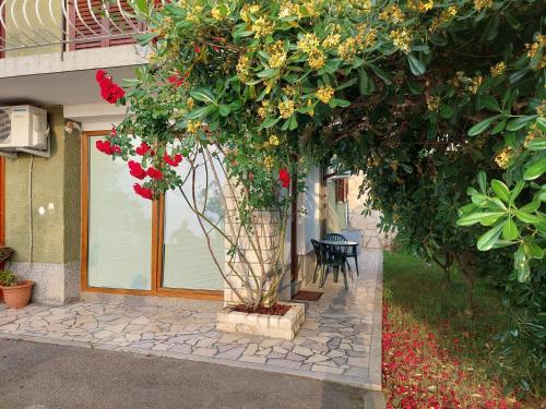 a tree with flowers on it in front of a building at Apartma Niko in Piran
