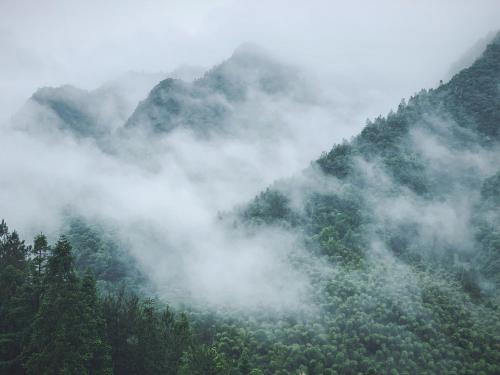 a misty mountain with trees in the foreground at Zhangjiajie One Art Guesthouse in Zhangjiajie