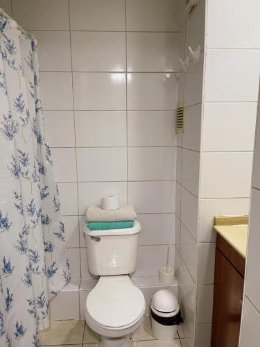 a bathroom with a toilet and a shower curtain at Departamento Hoome Studio in Santiago
