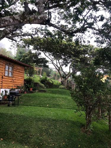 a yard with a log house and a tree at PROVENZA en Los Naranjos in Juayúa