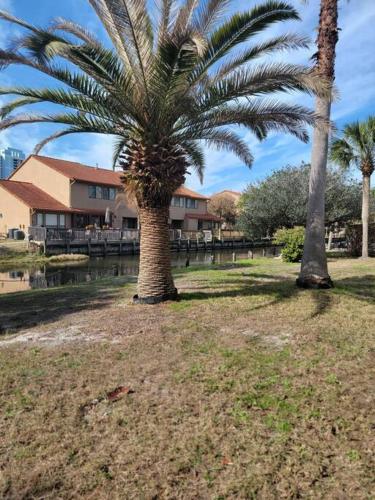 two palm trees in a field next to a house at Gulf Highlands 230 WSD in Panama City Beach