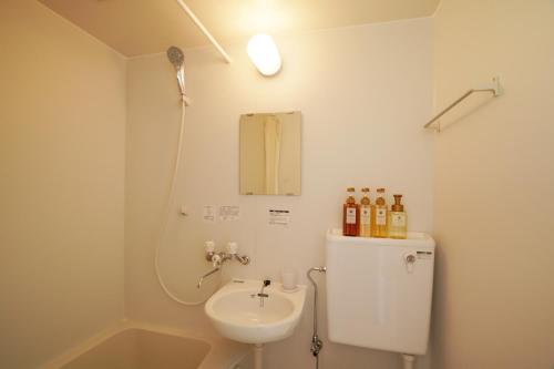 a small bathroom with a sink and a toilet at Hotel Cradle Cabin Tateyama in Tateyama