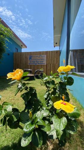 a group of yellow flowers next to a pool at Damnak Borey Resort in Kampot