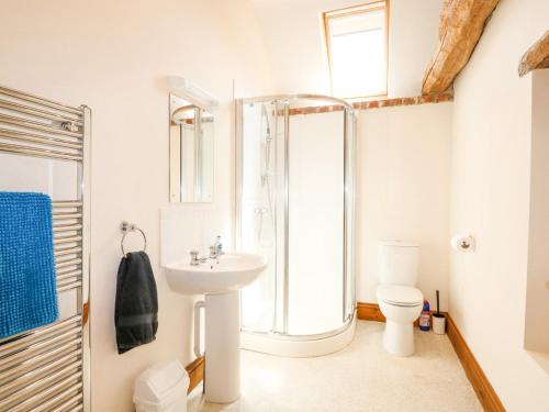 a bathroom with a shower and a sink and a toilet at Hadleigh Farm Barn in Gayton