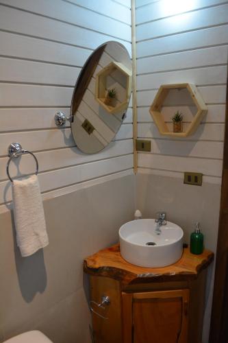 a bathroom with a sink and a mirror at Ruca del Fuy in Panguipulli