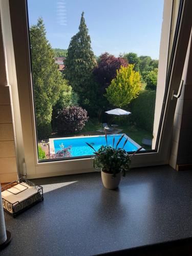 una ventana con vistas a la piscina y una planta en Ferienwohnung Ober Widdersheim en Nidda